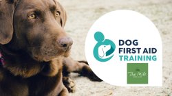Emergency Dog First Aid Course 15th September